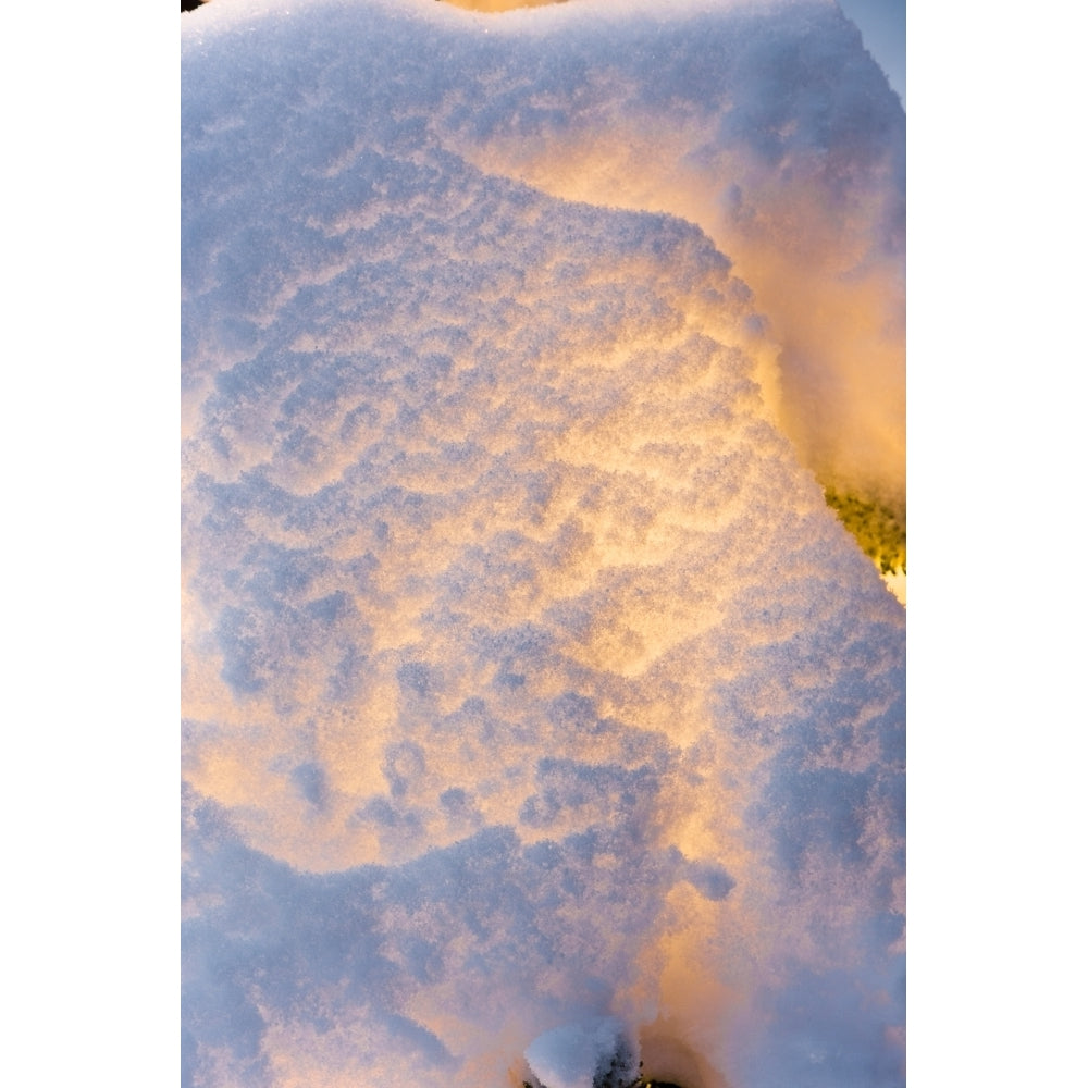 Close Up Of A Snow Covered Christmas Tree Lit With White Lights In Winter Poster Print Image 1