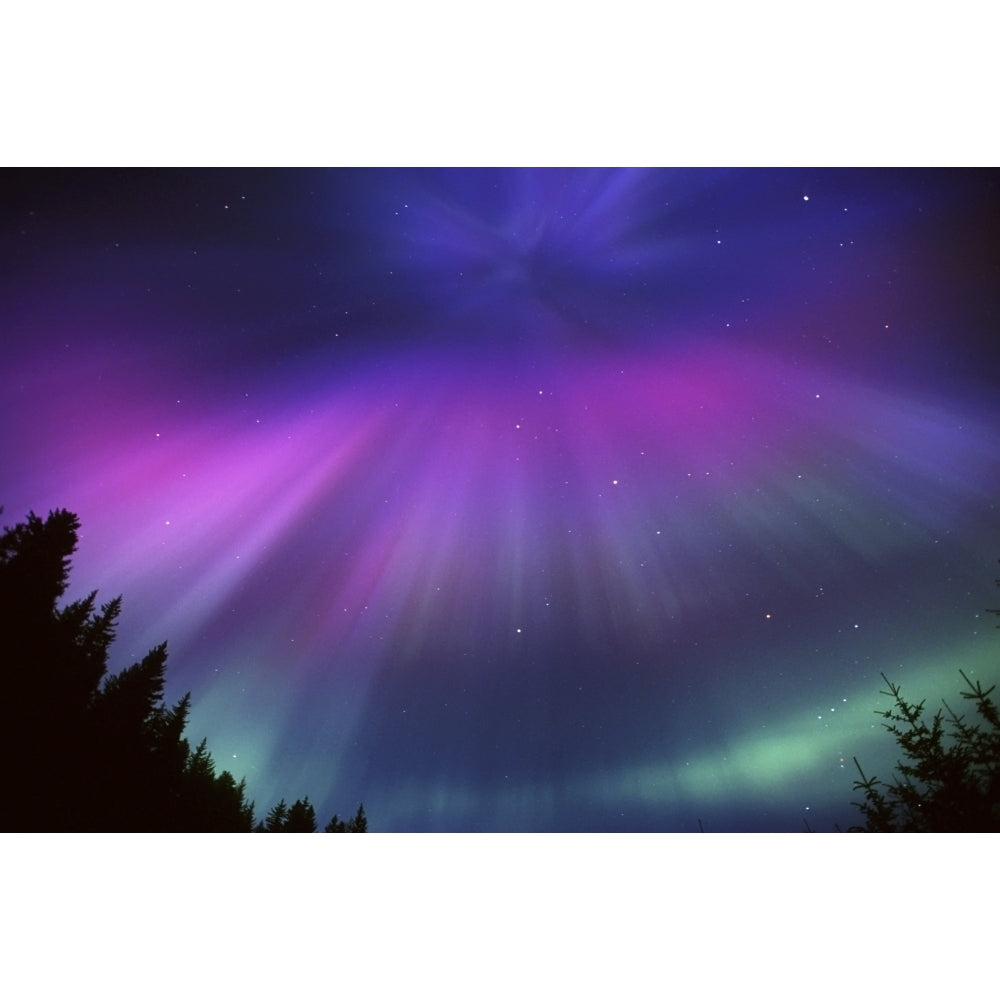 Aurora Corona Over Crow Creek Girdwood During Winter In Southcentral Alaska Poster Print Image 1