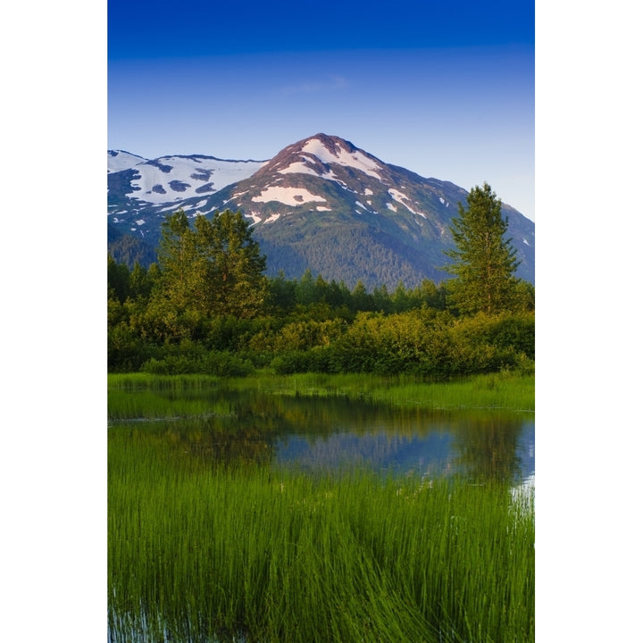 Scenic View Of A Small Stream In Portage Valley With Chugach Mountains In The Image 1