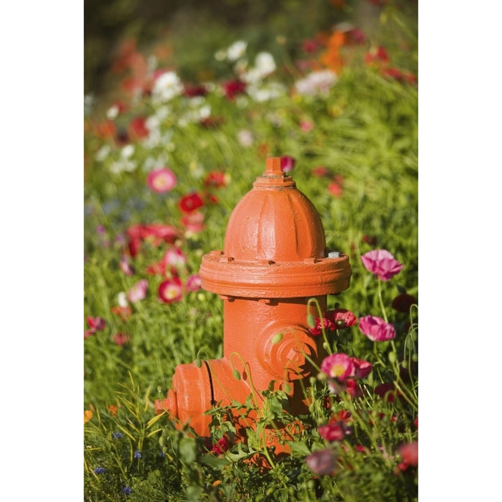 Fire Hydrant and Flowers Kodiak Island Southwest Alaska Poster Print Image 1