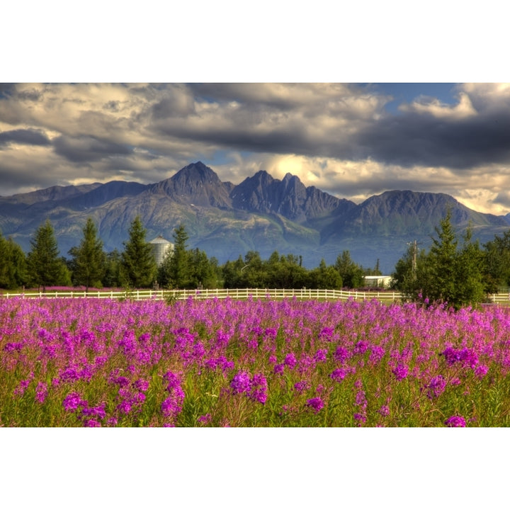 Scenic View Of Pioneer Peak With Fireweed In The Foreground Palmer Alaska Hdr Image Poster Print Image 2