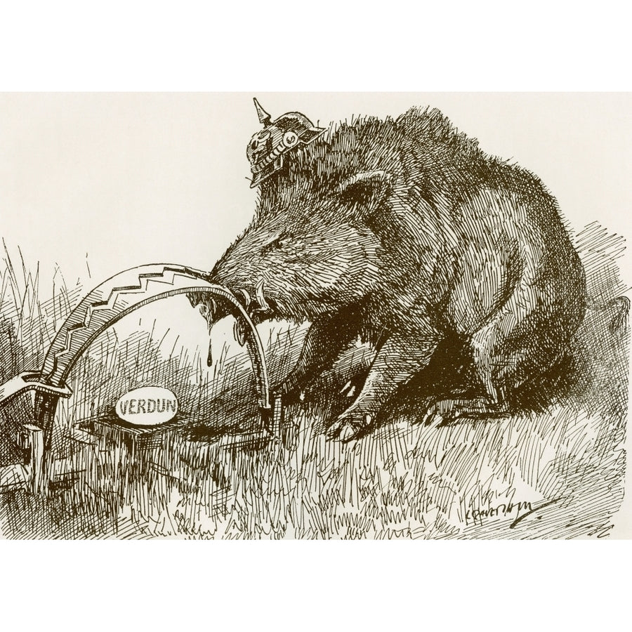 English Propaganda Picture Showing A Boar Representing The German Army With His Nose Caught In A Trap Battle Of Verdun 1 Image 1