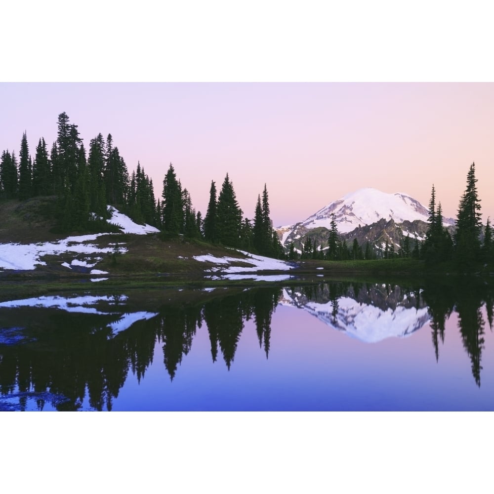 Mount rainier reflected in a pond at sunset near tipsoo lake mount rainier national park;Washington united states of ame Image 1