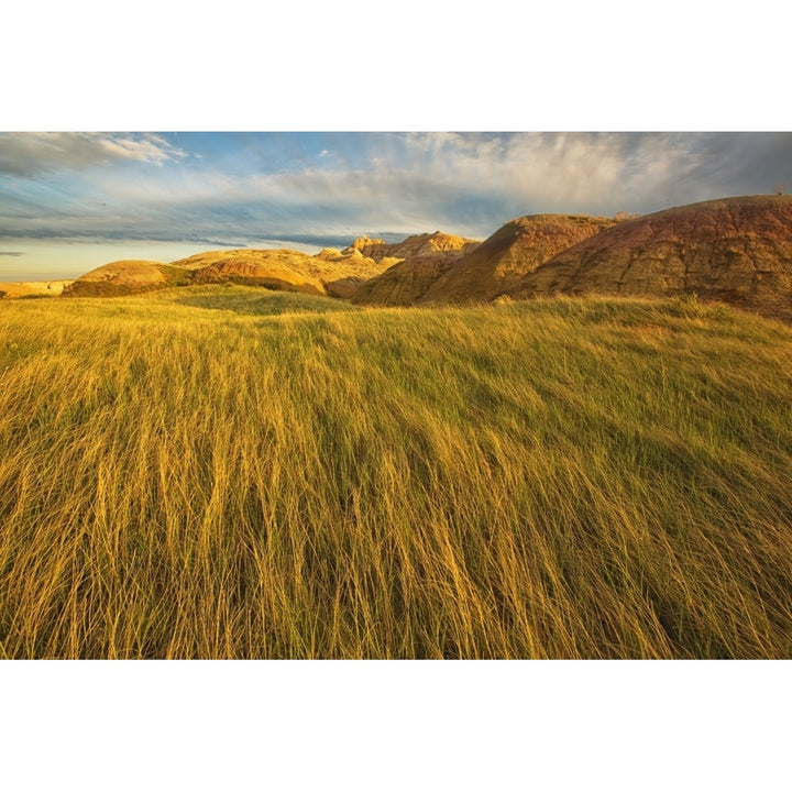 Sunset over the blowing grass and mud formations in badlands national park; south dakota usa Poster Print Image 1