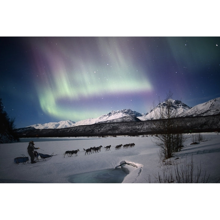 Scenic View Of Dog Team Mushing On The Matanuska River With Northern Lights Overhead Matanuska Susitna Valley Southcen 1 Image 1