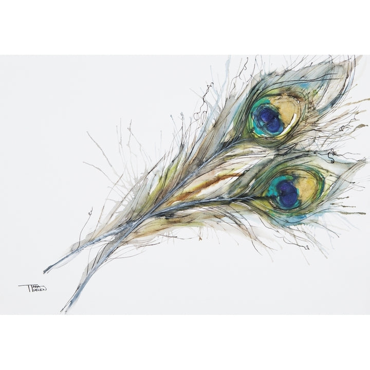 Watercolor Painting Of Two Peacock Feathers. Poster Print Image 2