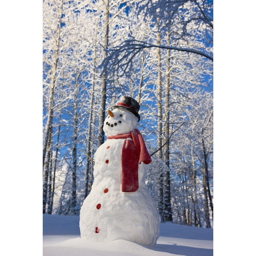 Snowman With Red Scarf And Black Top Hat Standing In Front Of Snow Covered Birch Image 1