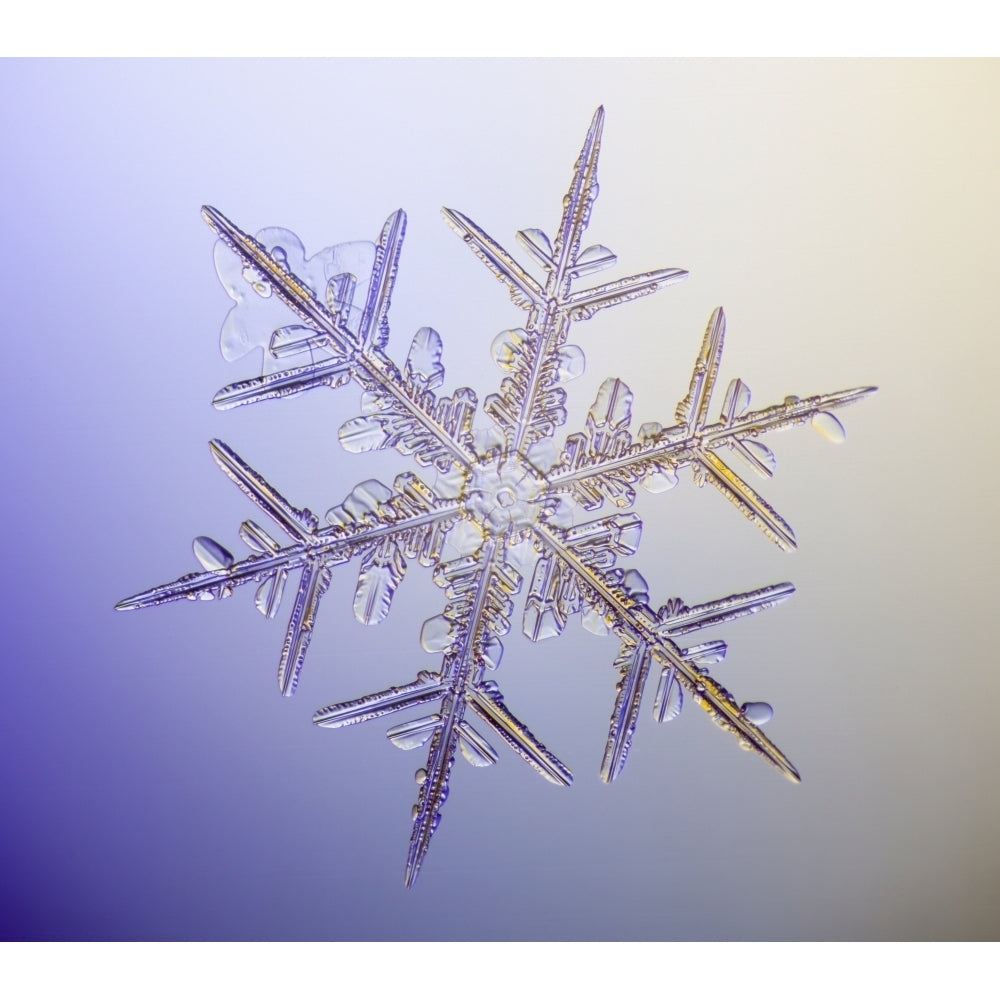 Photo-microscope view of a real snowflake showing the classic 6-sided star shape. Poster Print Image 1