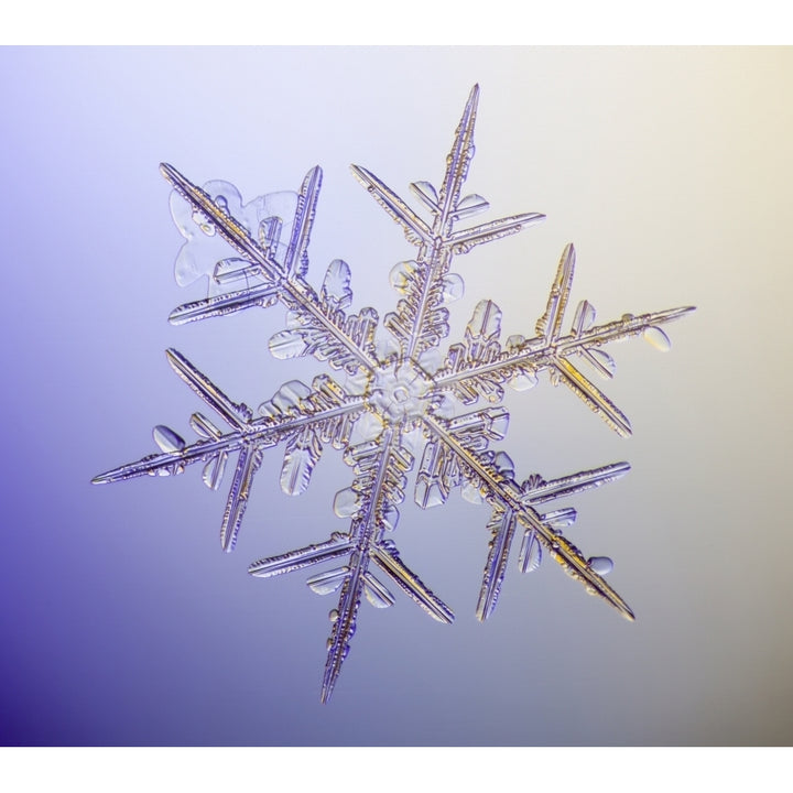 Photo-microscope view of a real snowflake showing the classic 6-sided star shape. Poster Print Image 2