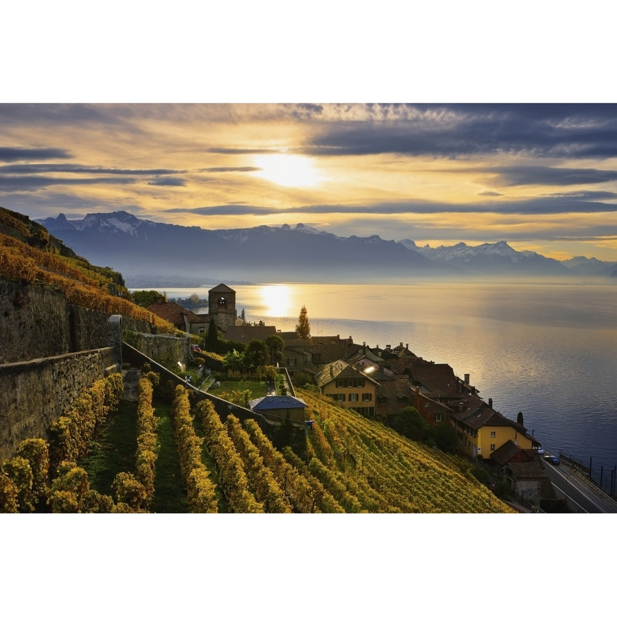 Switzerland Lavaux Unesco World Heritage region Vineyards; Saint-Saphorin Poster Print Image 1