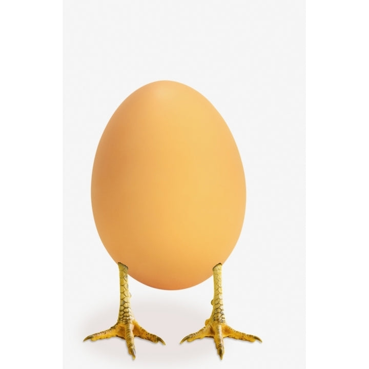 Egg with bird legs;British columbia canada Poster Print Image 1