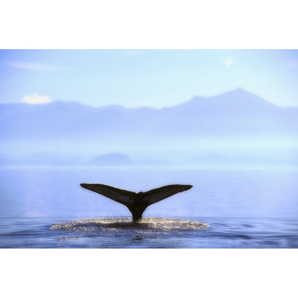 Humpback Whales Tail Lifting Out Of Ocean;Alaska United States Of America Poster Print Image 2