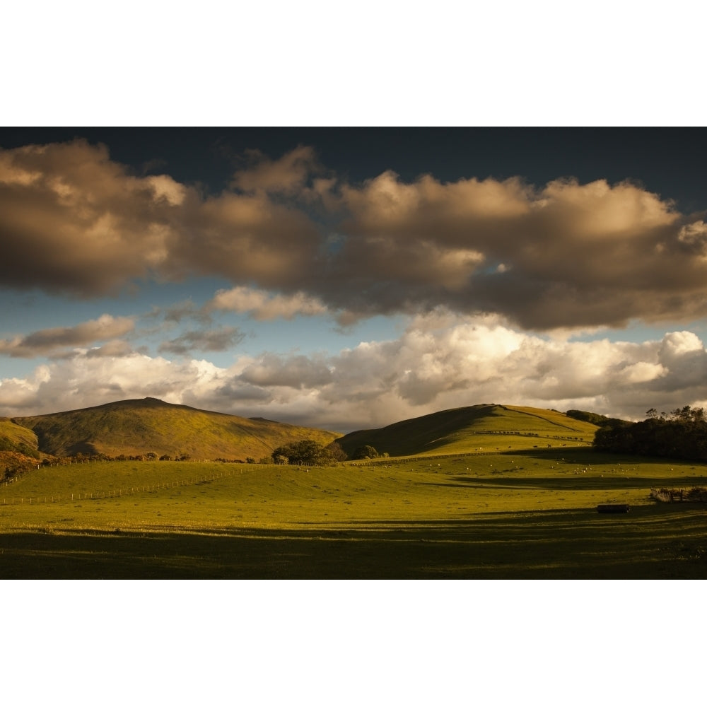 Clouds casting shadows on a hilly landscape with sheep grazing on the hillside;Northumberland england Print Image 1