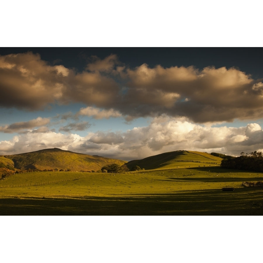 Clouds casting shadows on a hilly landscape with sheep grazing on the hillside;Northumberland england Print Image 1