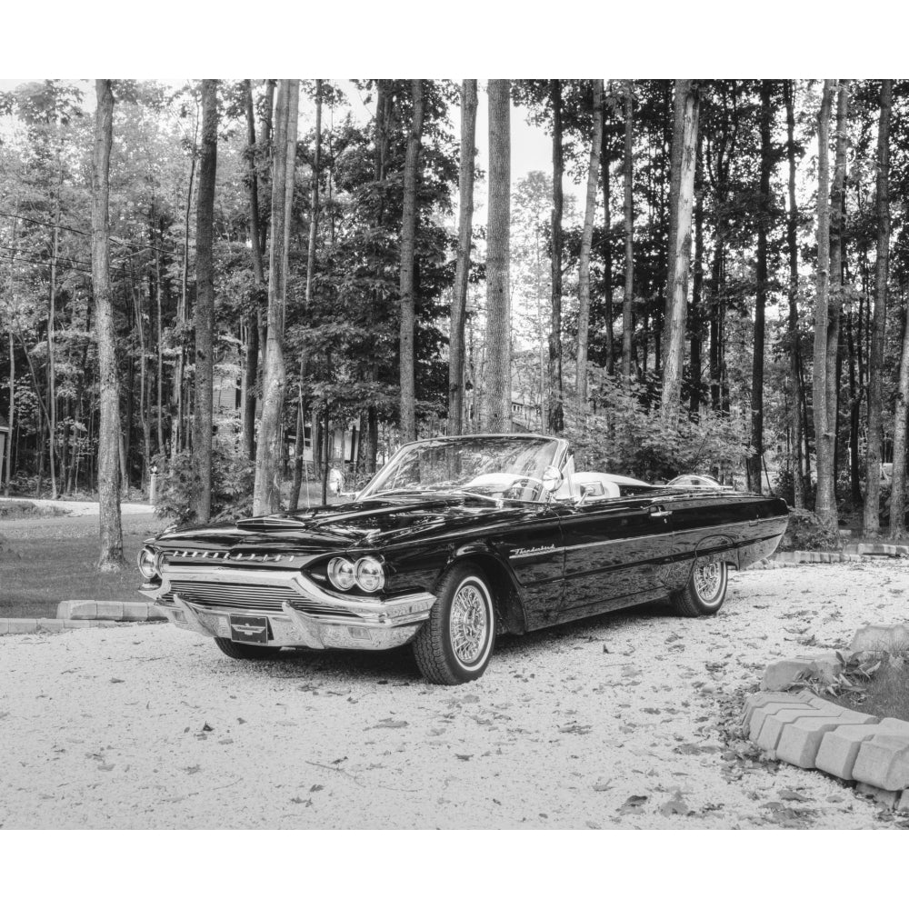 1964 Ford Thunderbird; Waterloo Quebec Canada Poster Print Image 2