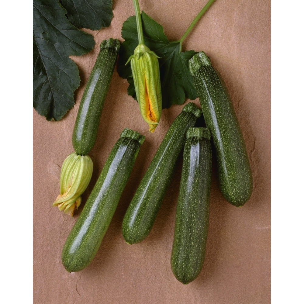 Agriculture - Green zucchini on a stone surface; variety Tigress studio. Poster Print Image 1