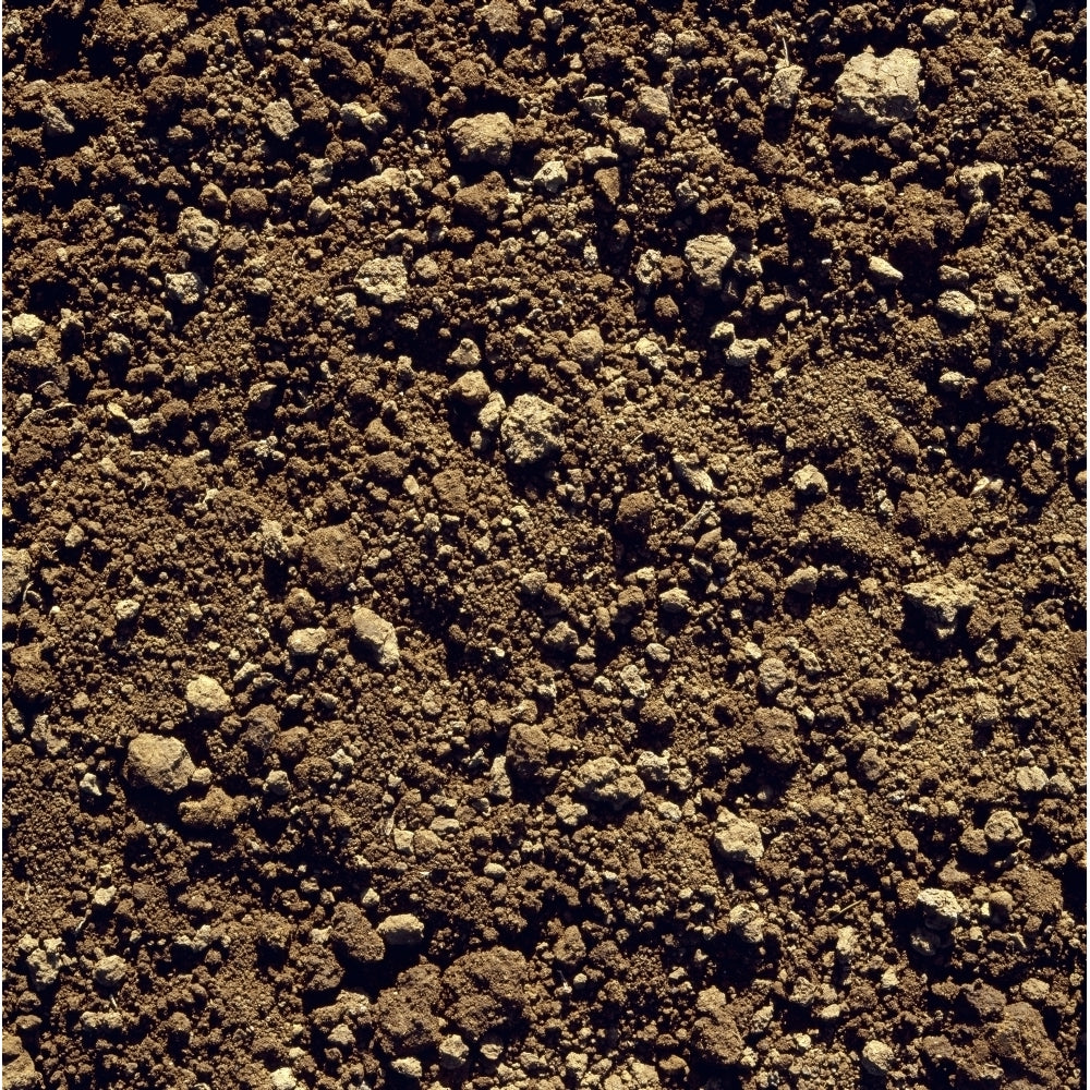 Agriculture - Closeup of clay soil / Monterey County California USA. Poster Print Image 1