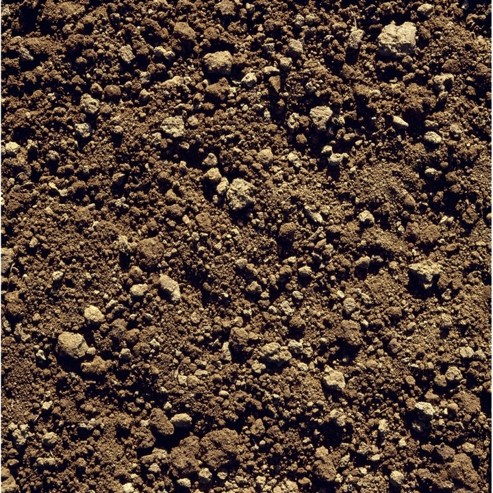 Agriculture - Closeup of clay soil / Monterey County California USA. Poster Print Image 1