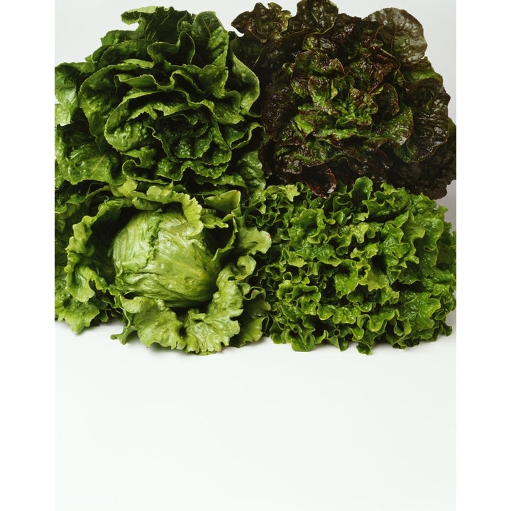 Agriculture - Heads of Romaine red leaf Iceberg and green leaf lettuce bunched together on white studio. Image 1