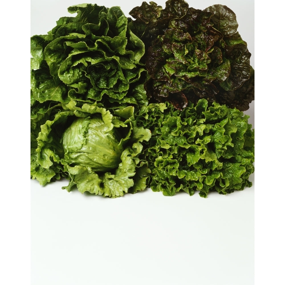 Agriculture - Heads of Romaine red leaf Iceberg and green leaf lettuce bunched together on white studio. Image 2