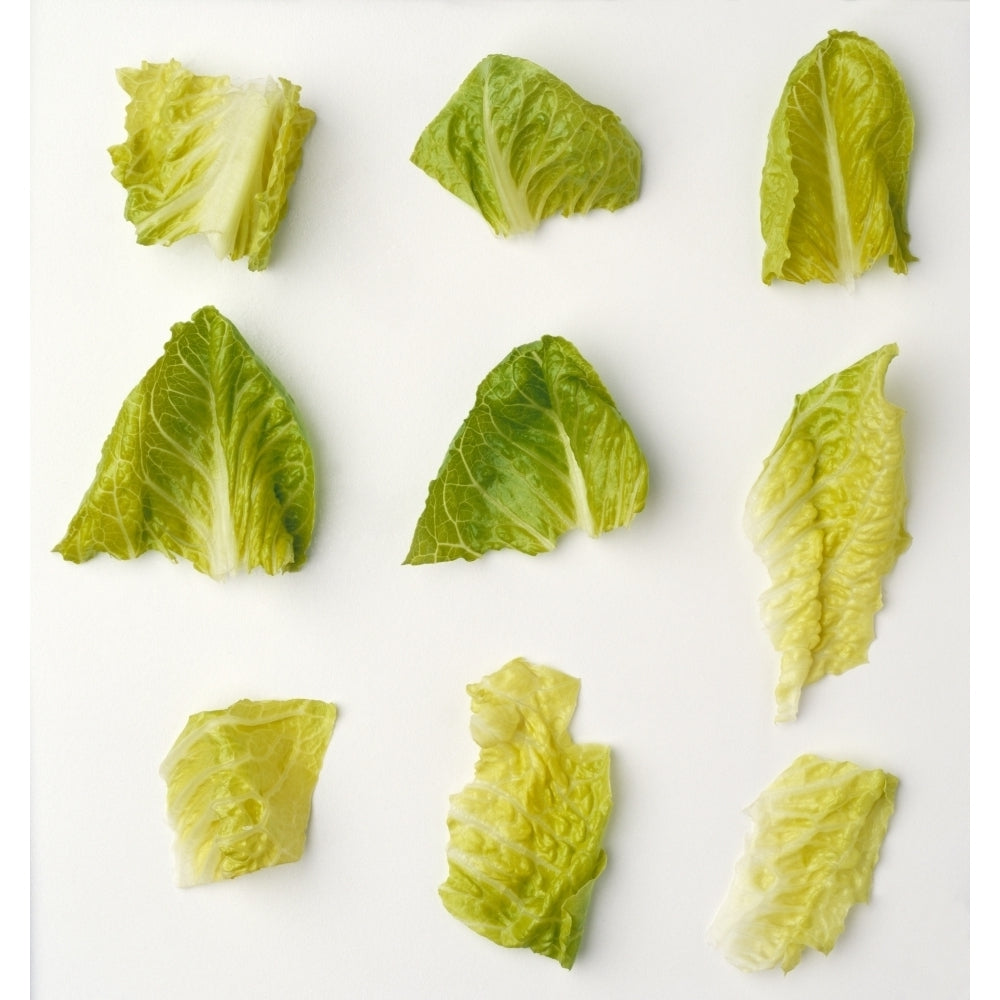 Agriculture - Closeup of chopped Romaine lettuce pieces on a white surface studio. Poster Print Image 2