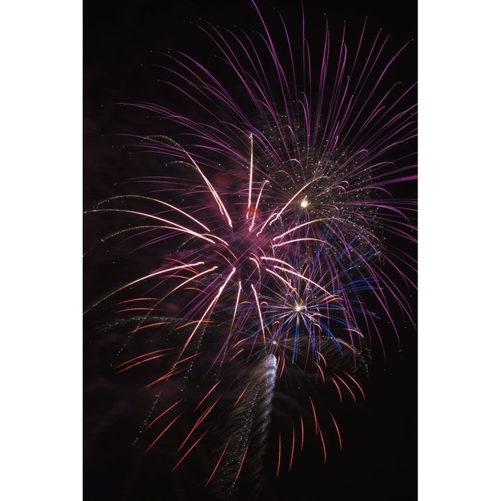 Fireworks display; Astoria Oregon United States of America Poster Print by Robert L. Potts / Design Pics Image 1