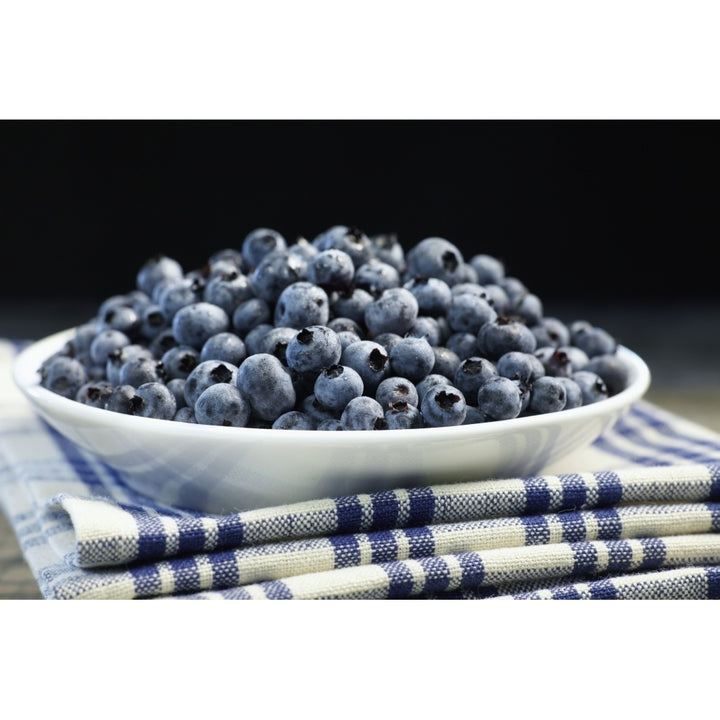 Bowl of blueberries; Quebec Canada Poster Print Image 2