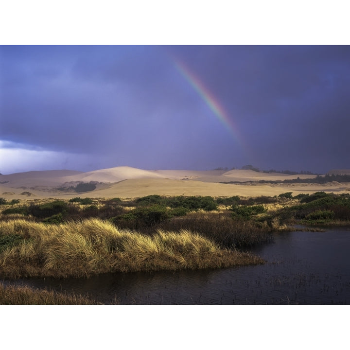 A rainbow over the Umpqua Dunes Oregon Dunes National Recreation Area; Oregon United States of America Poster Print by Image 1