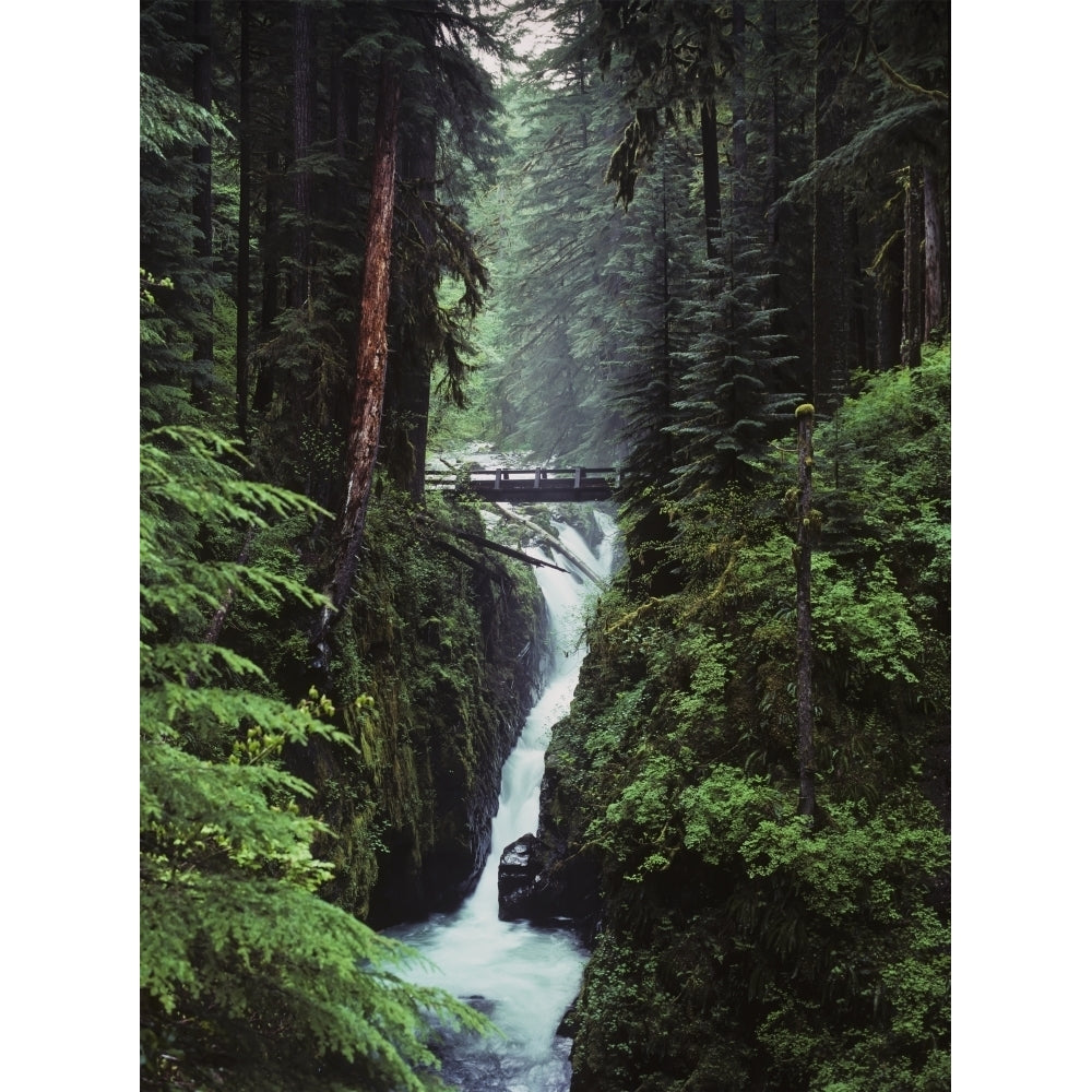 Sol Duc Falls plunges down the cliffs; Forks Washington United States of America Poster Print by Robert L. Potts / Des Image 1