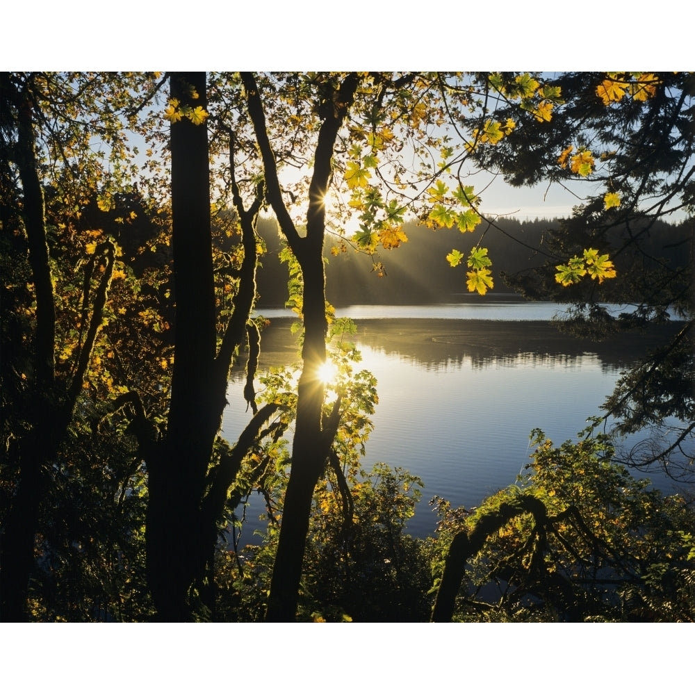 Sunrise reflected in Eel Lake; Winchester Bay Oregon United States of America Poster Print by Robert L. Potts / Design Image 2