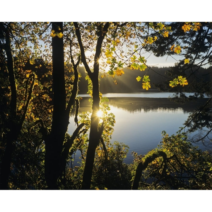 Sunrise reflected in Eel Lake; Winchester Bay Oregon United States of America Poster Print by Robert L. Potts / Design Image 1