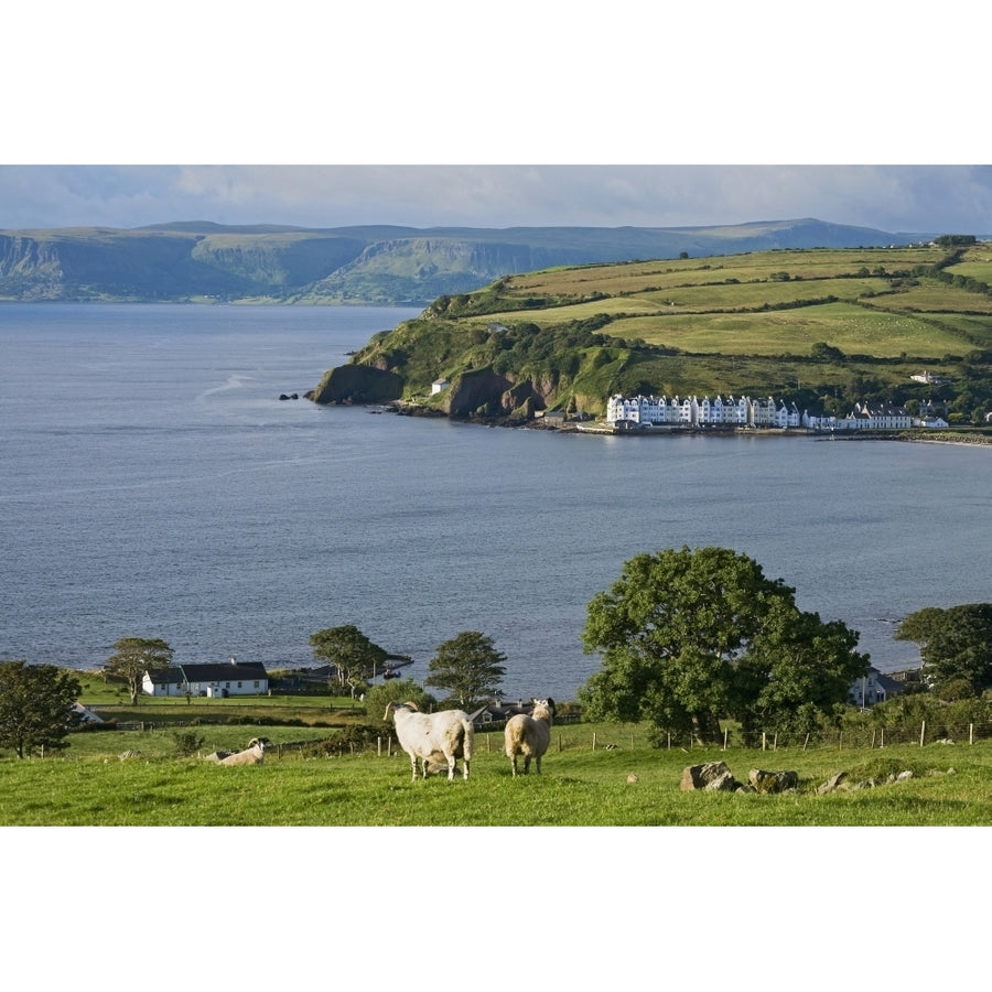 Farmland and bay at Cushendum Glens of Antrim; County Antrim Ireland Poster Print Image 1