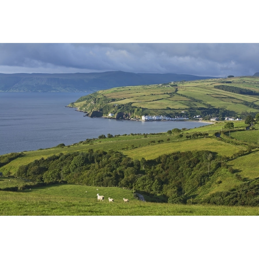 Farmland and bay at Cushendum Glens of Antrim; County Antrim Ireland Poster Print Image 1