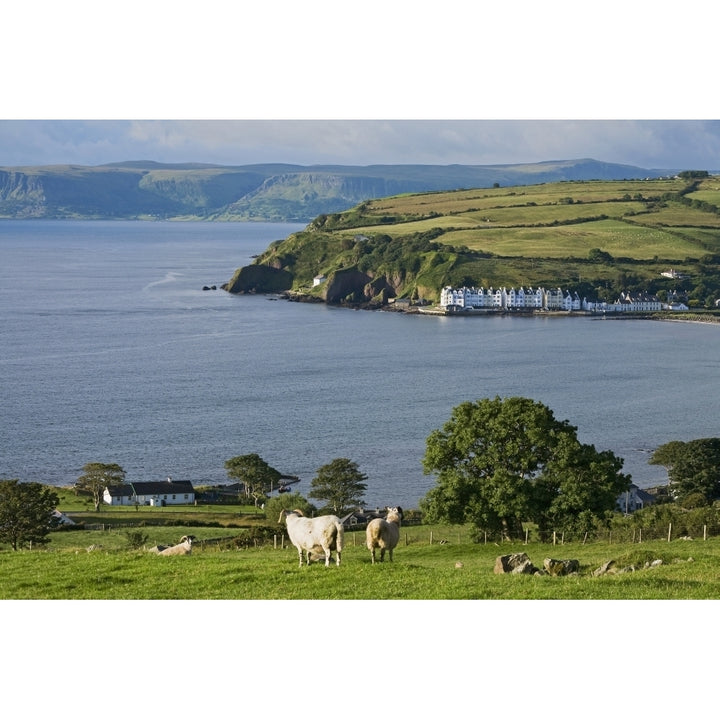 Farmland and bay at Cushendum Glens of Antrim; County Antrim Ireland Poster Print Image 2