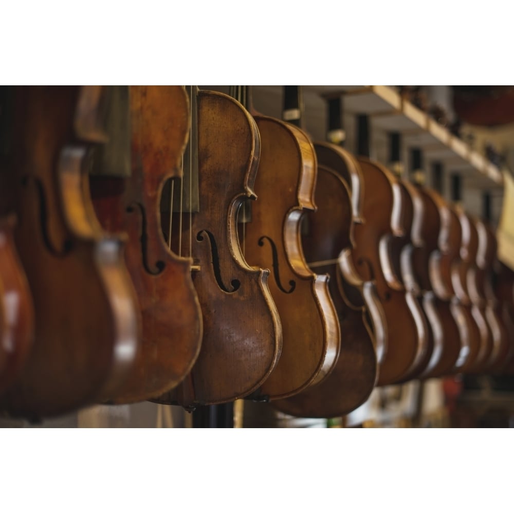 Repaired violins and violas on racks in The Sound Post repair shop; Toronto Ontario Canada Poster Print Image 1