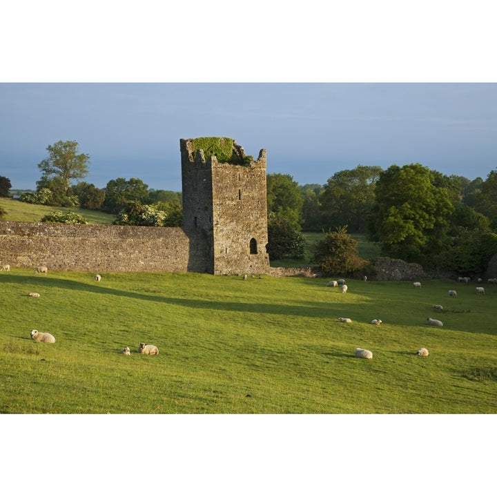 Kells Priory; Count Kilkenny Ireland Poster Print Image 1