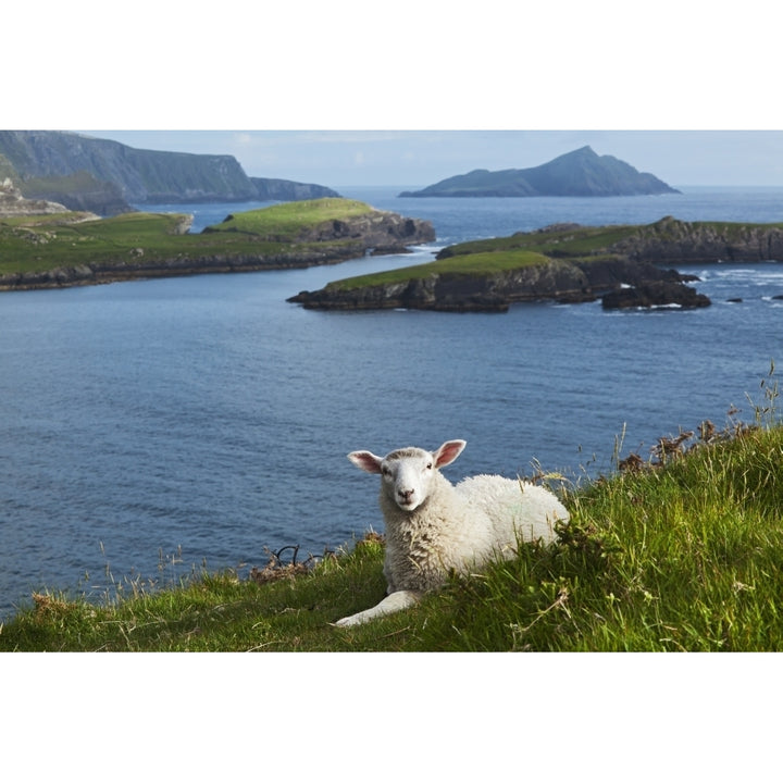 Coast near Portmagee Ring of Kerry; County Kerry Ireland Poster Print Image 2