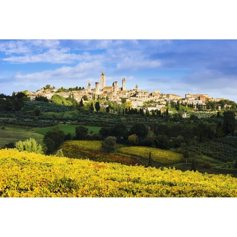 Vineyards and San Gimignano; Tuscany Italy Poster Print Image 1