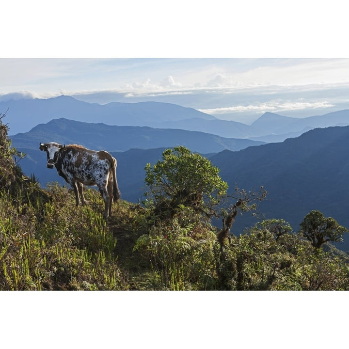 Mountain range east of Pojo; Departamento Cochabamba Bolivia Poster Print Image 1