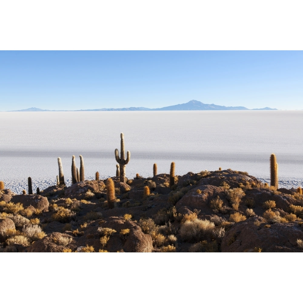 View from Isla del Pescado to Salar de Uyuni; Bolivia Poster Print Image 2