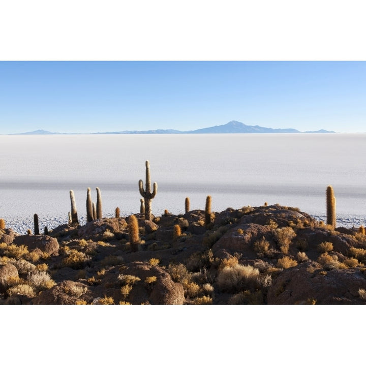 View from Isla del Pescado to Salar de Uyuni; Bolivia Poster Print Image 1