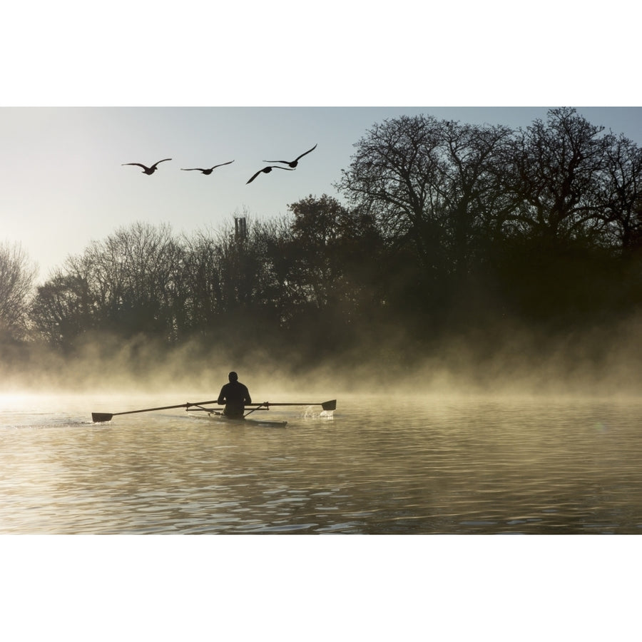 Sculling in mist on River Thames; London England Poster Print Image 1