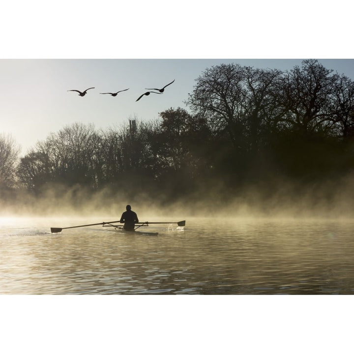 Sculling in mist on River Thames; London England Poster Print Image 1