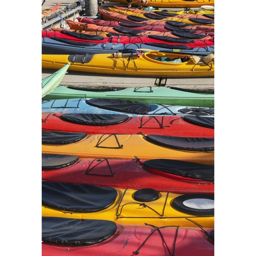 Multi-coloured kayaks together at boat dock Prince William Sound; Valdez Alaska United States of America Poster Print Image 1