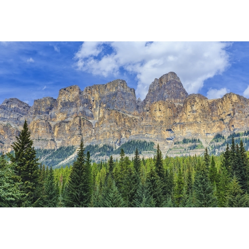 Castle Mountain and coniferous trees Banff National Park; Alberta Canada Poster Print Image 2