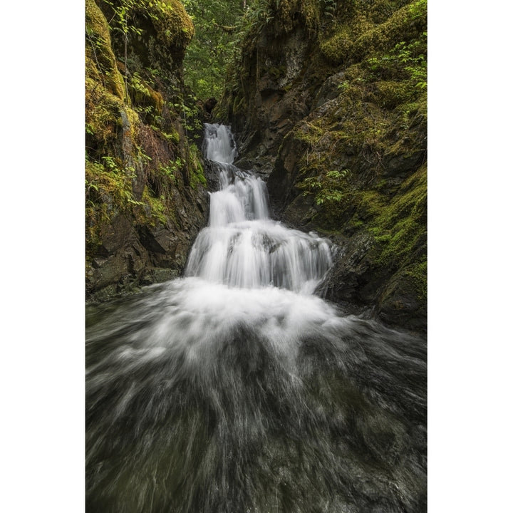 Unnamed stream and waterfall Strathcona Provincial Park; British Columbia Canada Poster Print Image 1