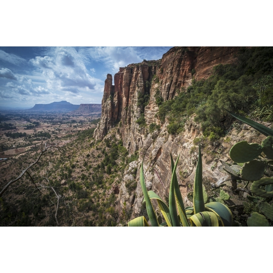 Rugged cliffs and plants on a landscape; Tigray Ethiopia Poster Print Image 1