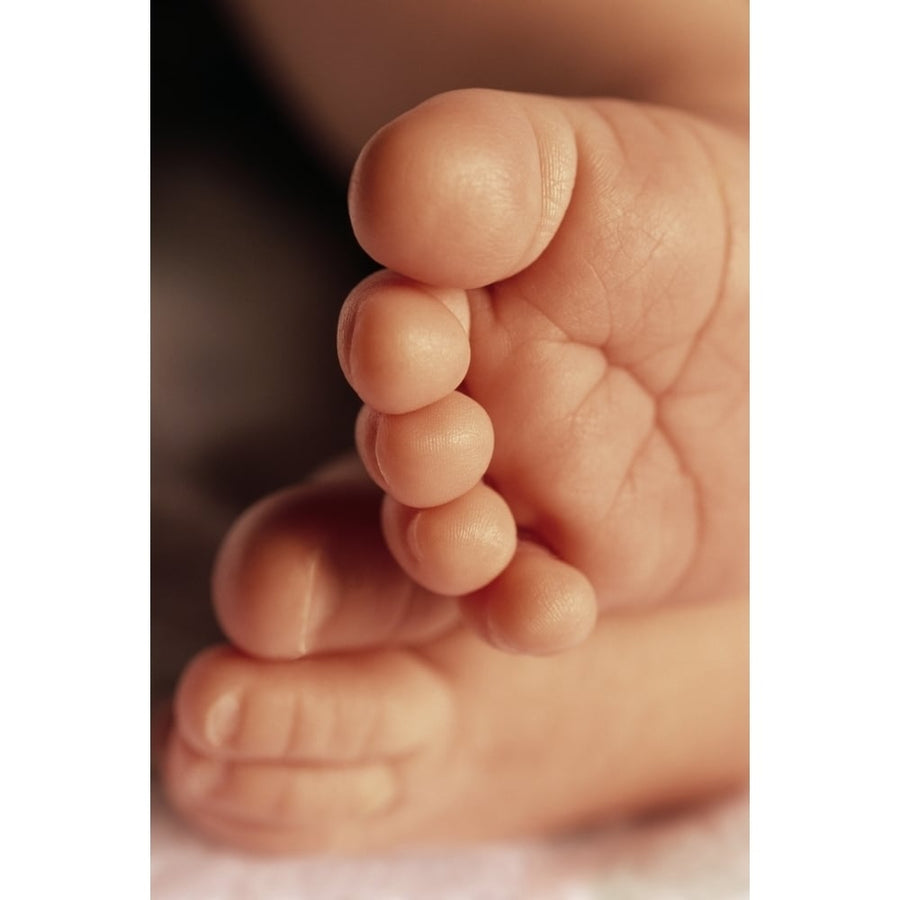 Babys Feet Poster Print Image 1