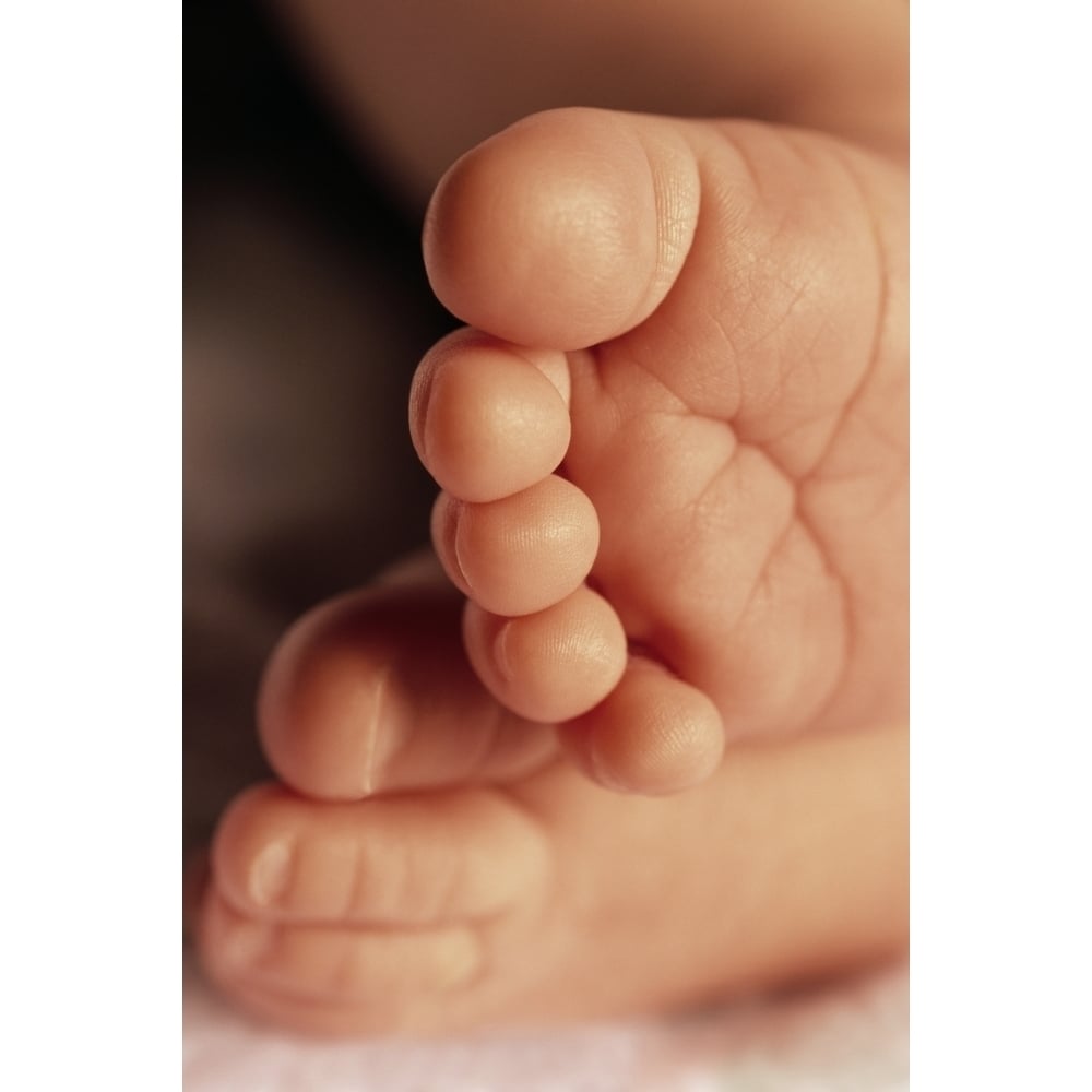 Babys Feet Poster Print Image 2