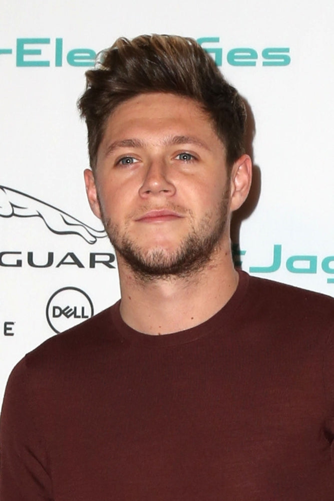 Niall Horan In Attendance For Jaguar Land Rover Unveils I-Pace Concept Vehicle Electric Suv Milk Studios Los Angeles Image 1